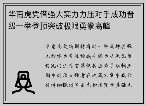 华南虎凭借强大实力力压对手成功晋级一举登顶突破极限勇攀高峰